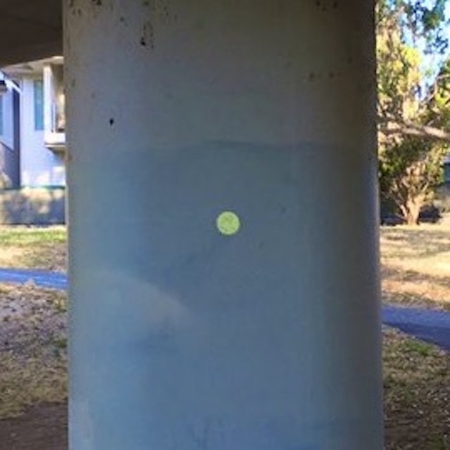 single, perfectly round, small yellow chalk dot on 'pillar of democracy'